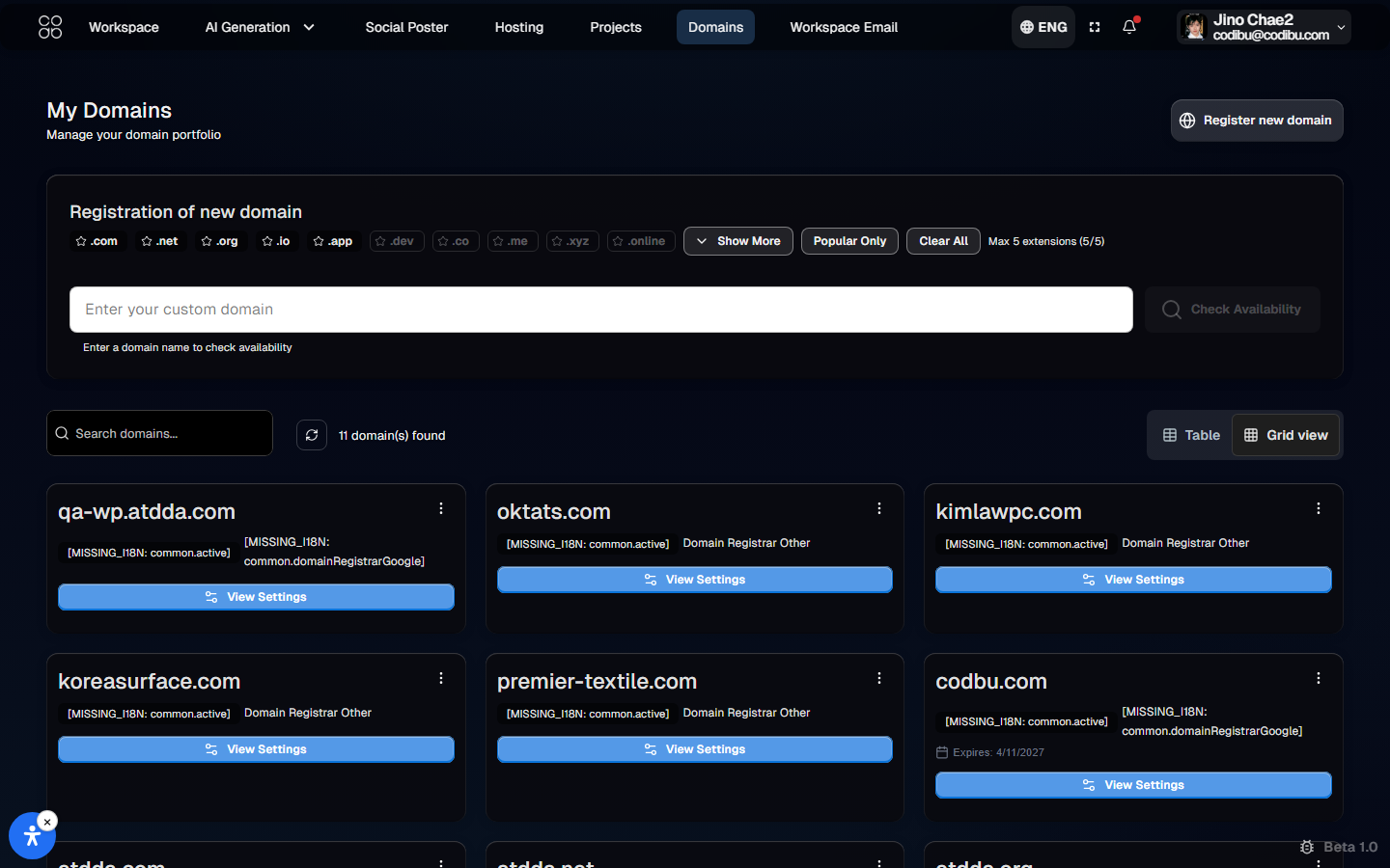Codibu domains — search, active domain, and launch planning